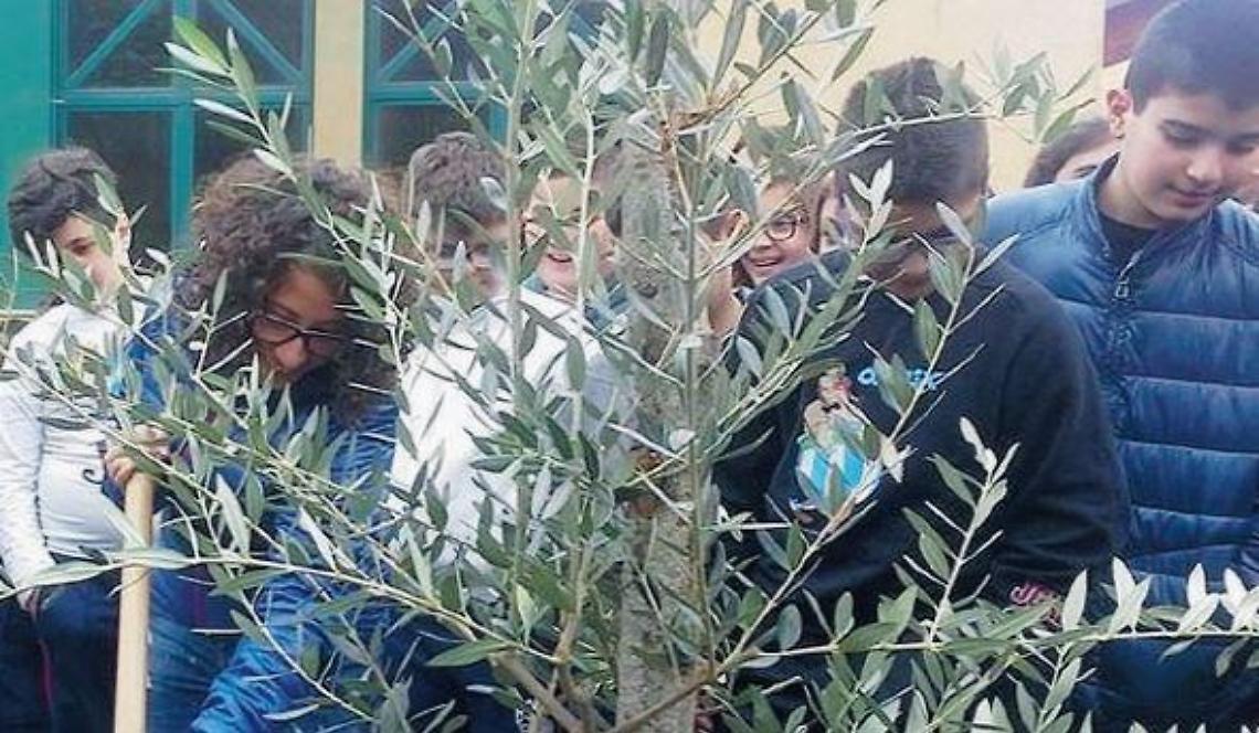 Veroli diventa sempre più green grazie ai progetti 'Ossigeno' e 'Plastic Free'