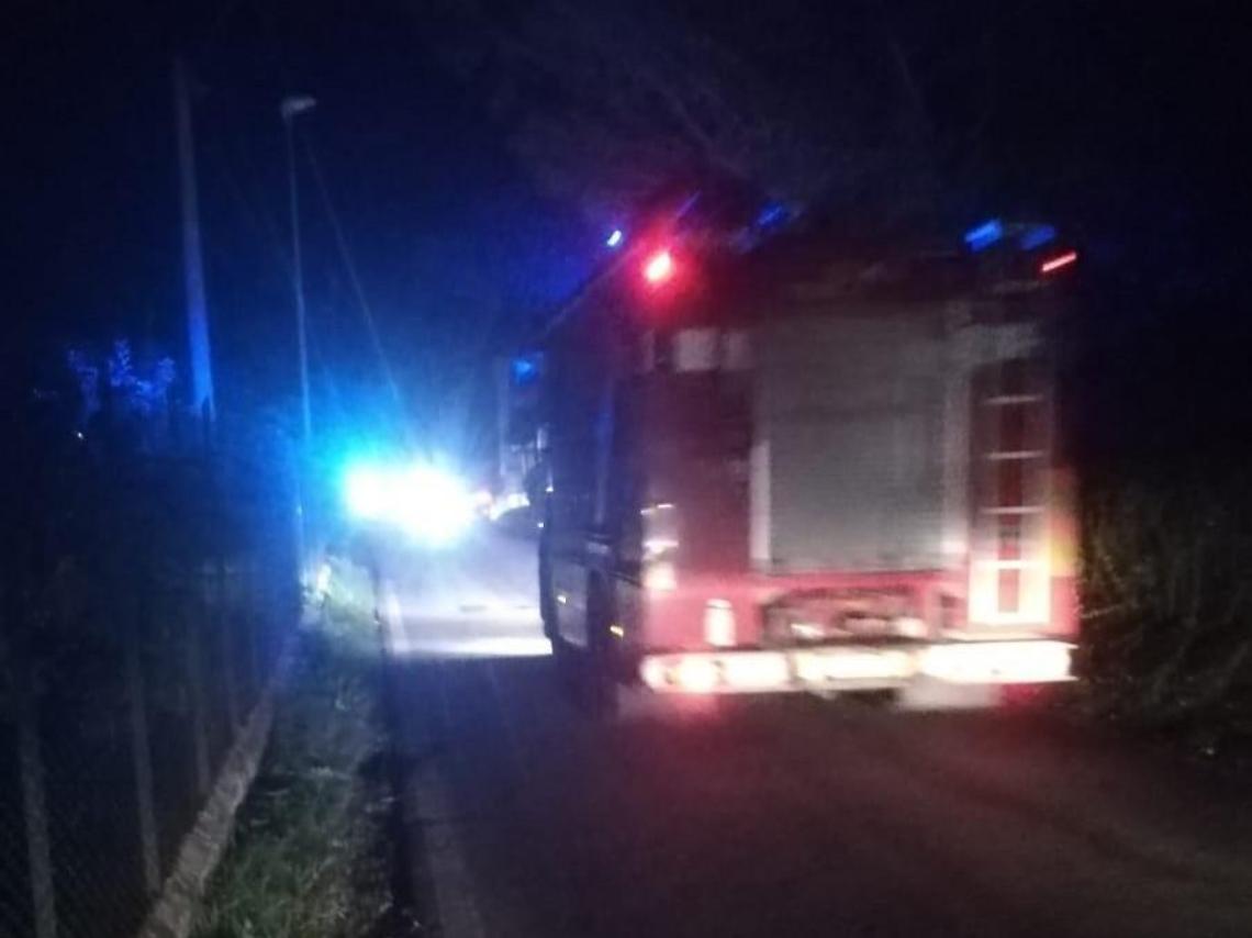 Il corpo senza vita di una giovane trovato in un cespuglio: cadavere da identificare