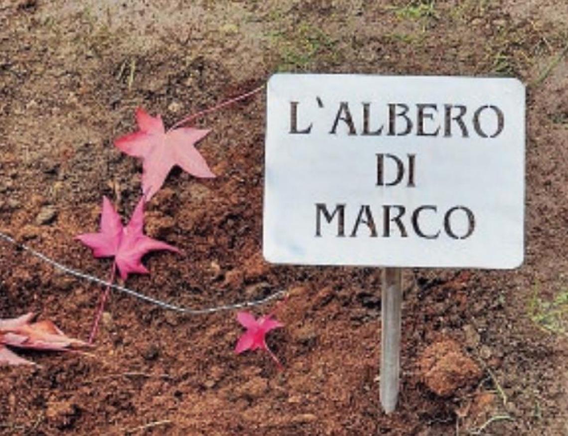 Morte Marco Cialone: un albero per non dimenticare il sorriso del giovane