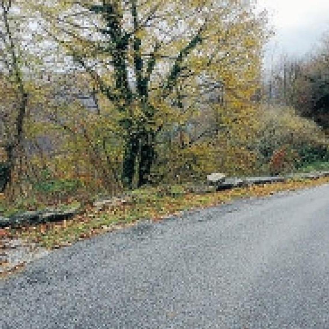 Strade dissestate nell'area nord, un quadro desolante: chieste soluzioni