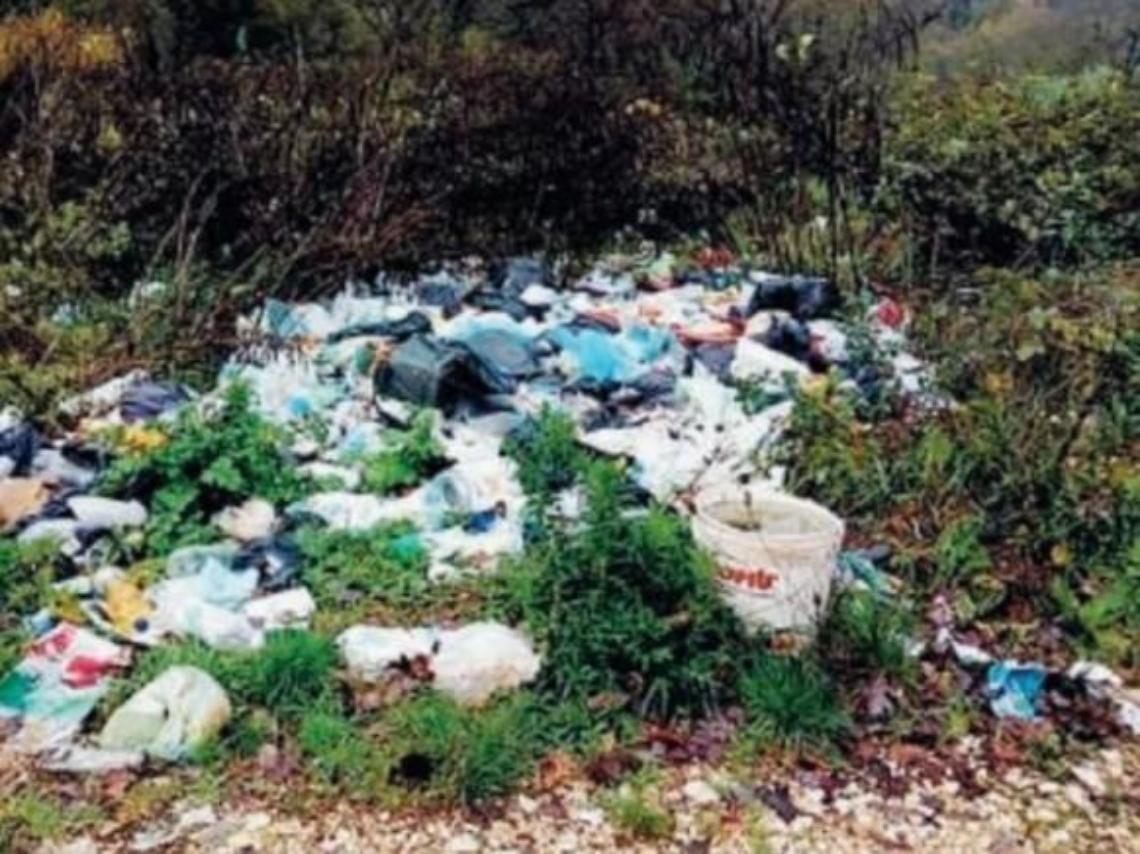 Rifiuti ovunque e animali abbandonati nelle discariche abusive: l'indignazione