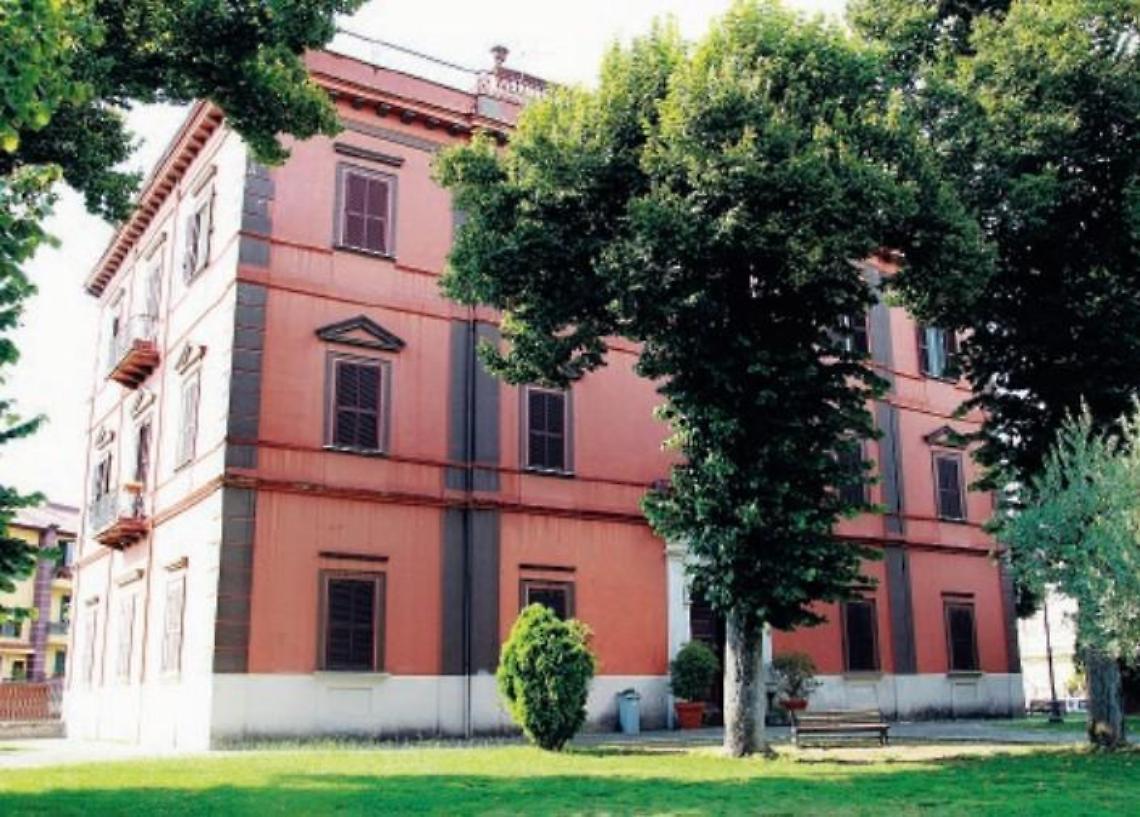 Progetto Ossigeno: un modo per salvare gli alberi di Natale