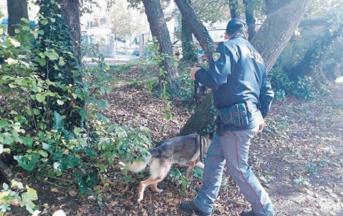 Droga a fiumi per tutti: ormai è una vera caccia al... "tesoro"