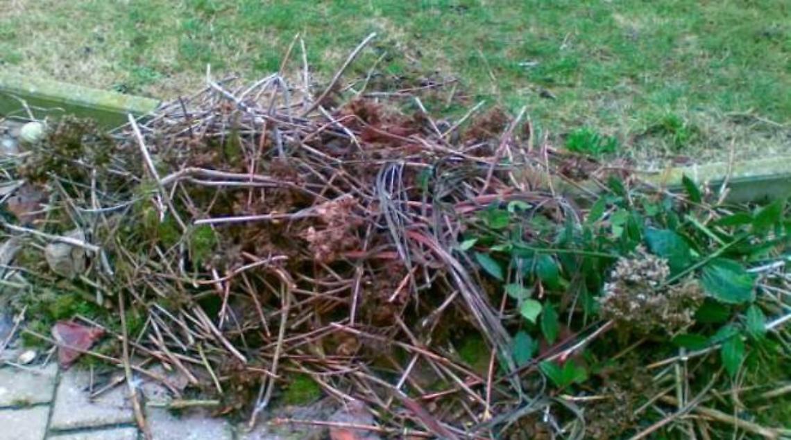 Aree verdi: sfalci e potature vanno all'isola ecologica. Multe in agguato