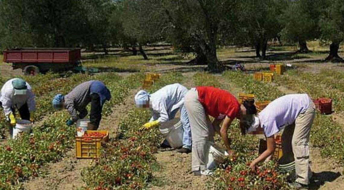 Caporalato, un progetto per una maggiore tutela dei migranti