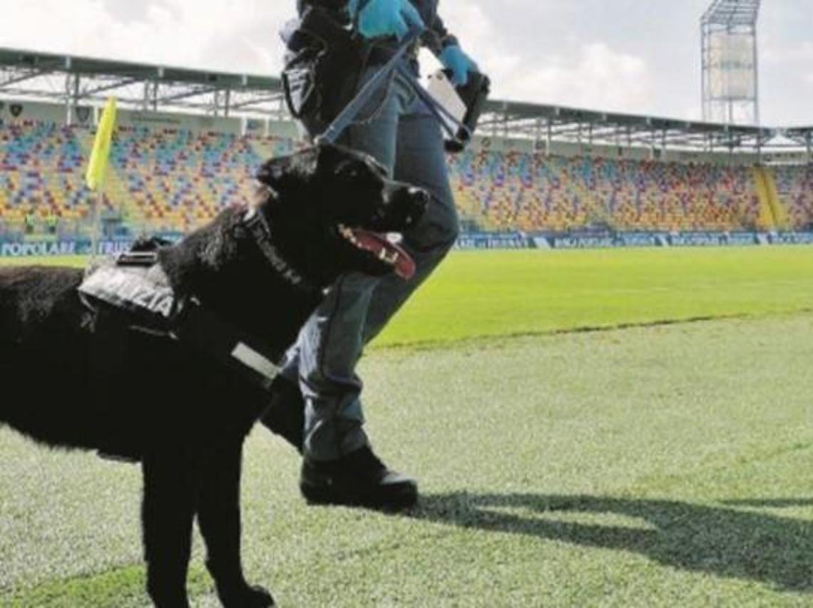 Frosinone - Salernitana: seconda gara consecutiva 'a rischio' allo Stirpe