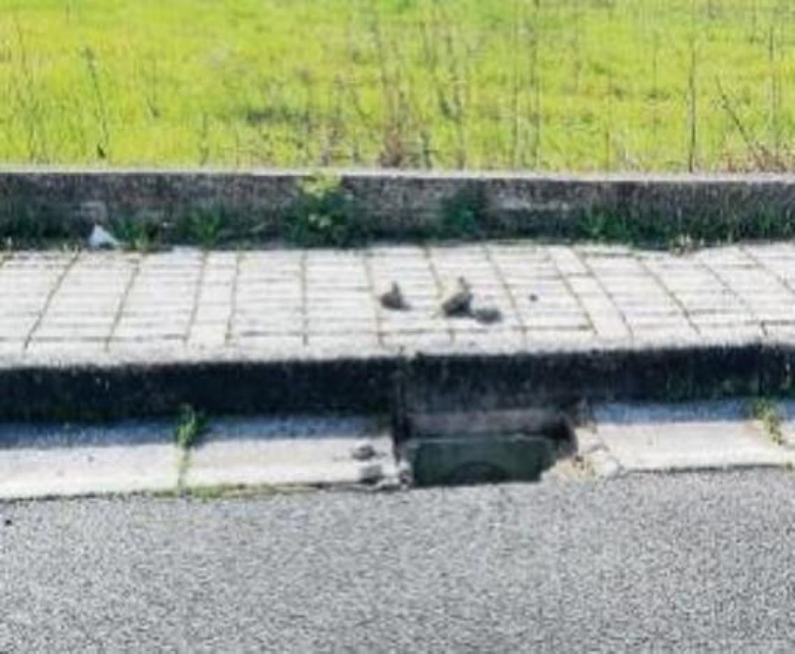 Furti seriali di tombini: ora i ladri si attaccano a tutto