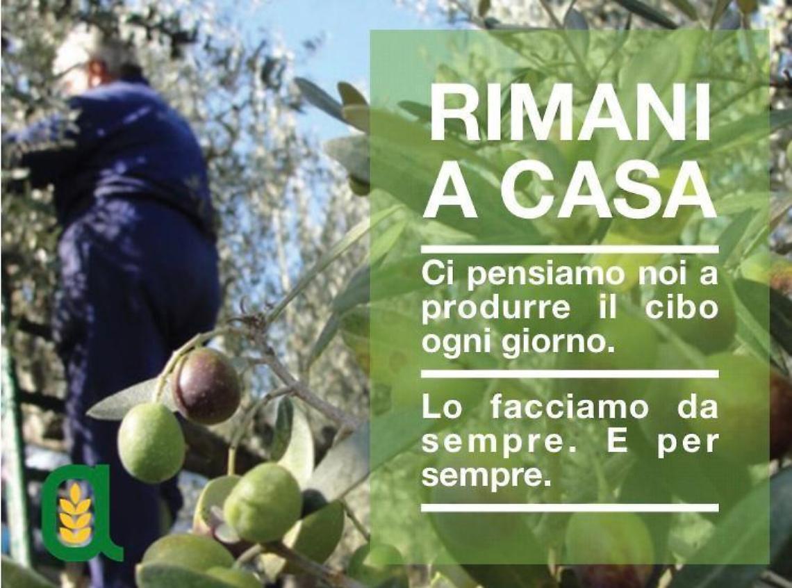 Coronavirus, Confagricoltura pronta ad assicurare le materie prime anche in emergenza