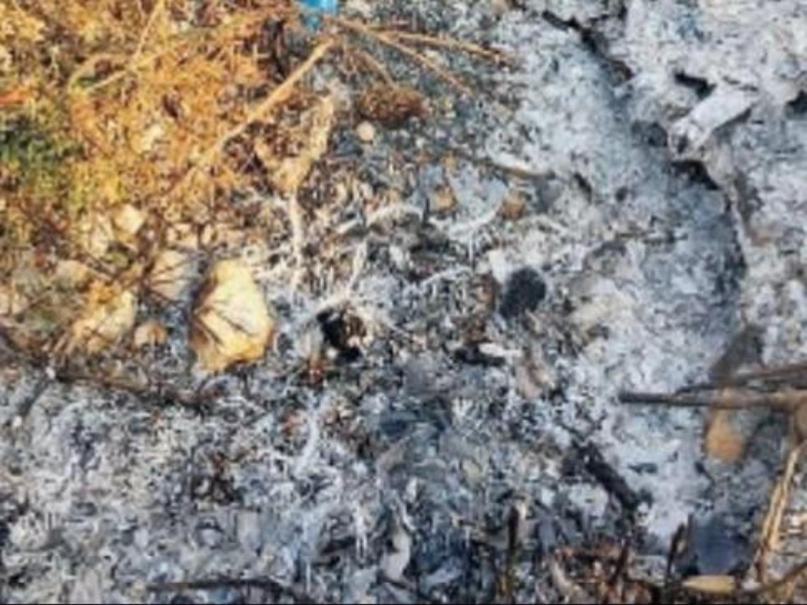 Emergenza covid-19 e roghi illegali di rifiuti, il sindaco: "Tolleranza zero"