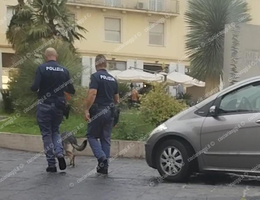 Sora, Controlli straordinari della polizia di Stato unità cinofile su