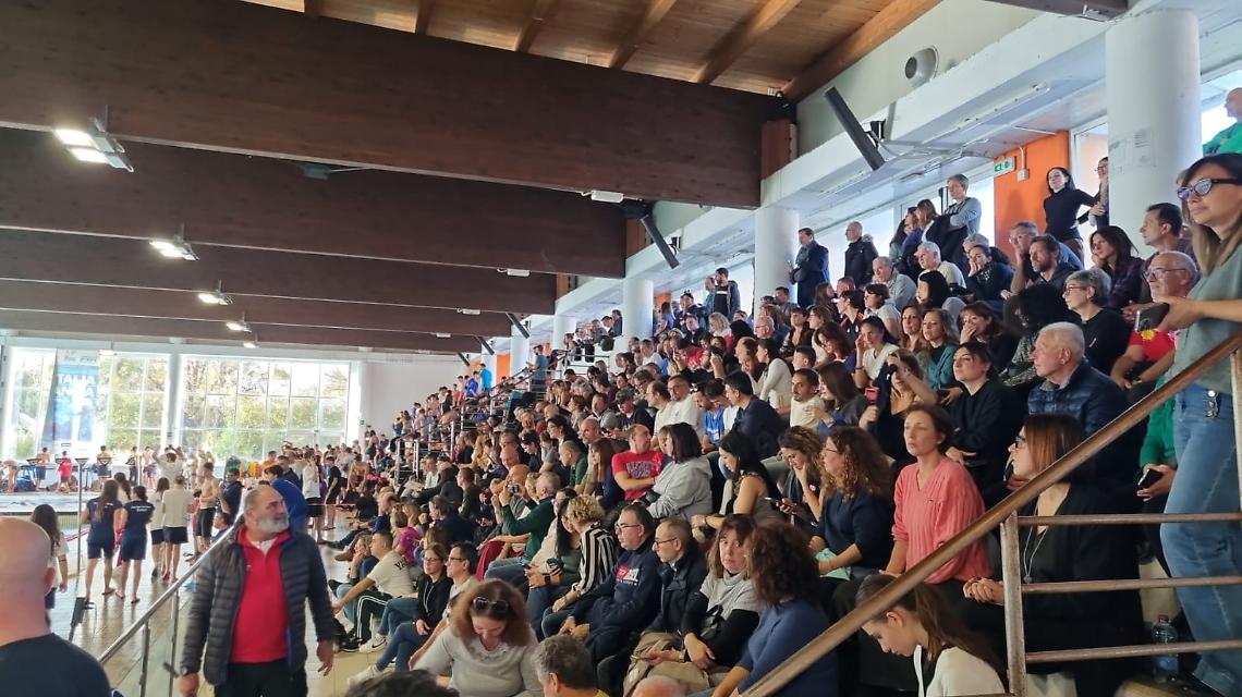 Stadio del Nuoto - Bellator