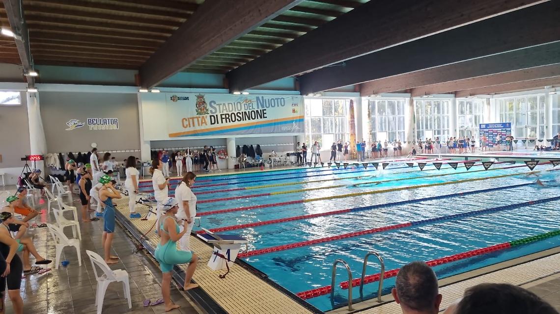 Stadio del Nuoto - Bellator