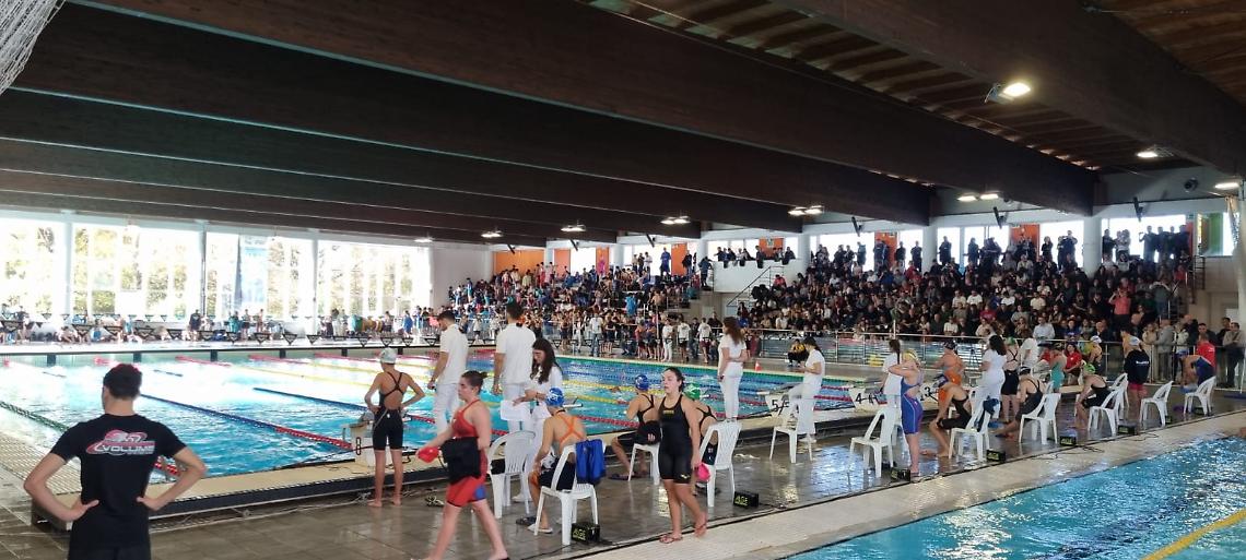 Stadio del Nuoto - Bellator