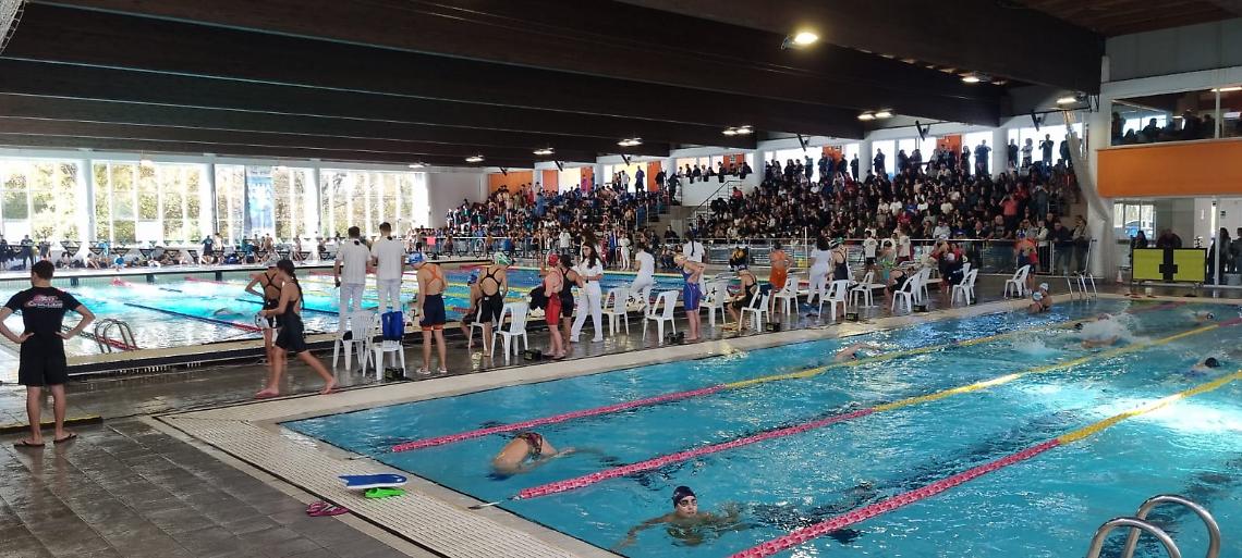 Stadio del Nuoto - Bellator