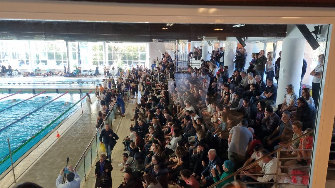 Stadio del Nuoto - Bellator