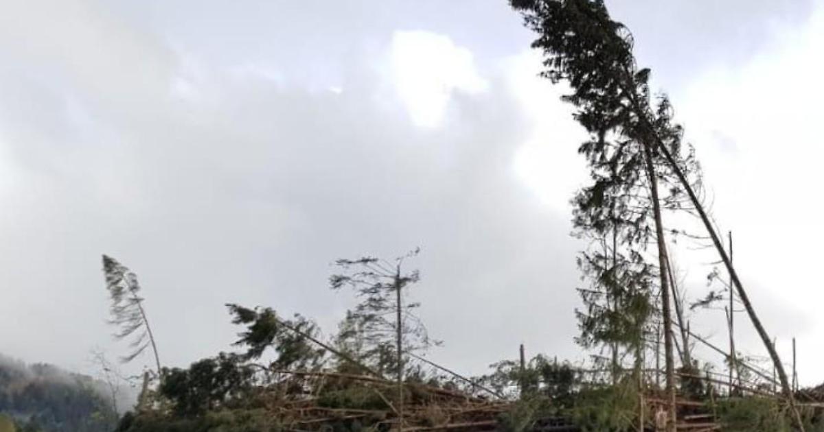 Ancora forti raffiche di vento. Nuova allerta meteo - Ciociaria Oggi