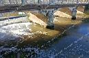 Di nuovo schiuma nel fiume liri