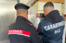 Controlli del Nas. Chiuso un ristorante per carenze igieniche-sanitarie