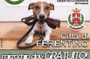 Microchip gratis contro l’abbandono dei cani, al via la campagnacampagna