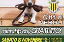 Torna a Veroli il "Microchip Day gratuito" per i cani