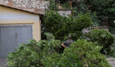 Cade un albero su un condominio. Notte di paura in viale Mazzini