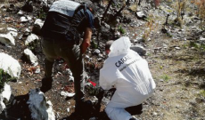 Crescono i reati ambientali