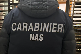Blitz di polizia locale e carabinieri del Nas. Chiusura per un locale
