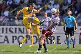 Frosinone Bologna finisce in parità. Un punto a testa