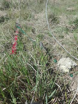 Terreno nel mirino dei vandali, scatta la denuncia