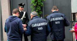 Controlli del Nas nelle aziende agricole: sospesa un'attività 