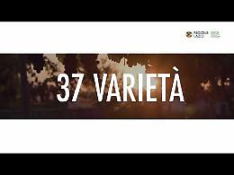 Vinitaly 2024. Il Lazio mette in vetrina le sue eccellenze 