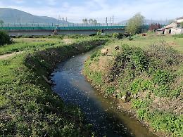 Ancora schiuma nel rio dei veleni.  Si teme uno scarico abusivo di sostanze tossiche  