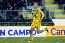 Frosinone, verso il Monza con la speranza di recuperare Romagnoli
