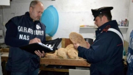 Controlli del Nas, sequestri in un panificio abusivo 