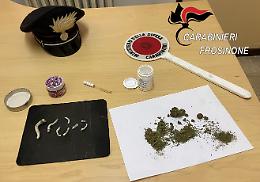 Marijuana e funghi allucinogeni, sequestro  e segnalazione da parte dei carabinieri