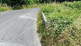 Auto finisce contro il guard rail nascosto dall'erba incolta 
