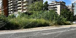 Erba incolta e rifiuti abbandonati. Una giungla in pieno centro 