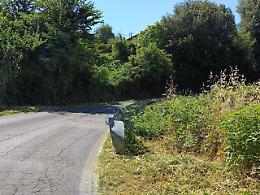 Ripulita l'area attorno al guard rail "incriminato"
