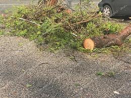 In arrivo rovesci e temporali. Allerta gialla nel Lazio 