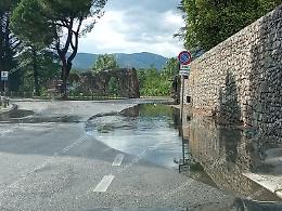 Maltempo, alberi caduti e strade allagate 