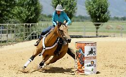 Campionato regionale Ibra Lazio, Damiana Boccacci in sella a DB Freccia Solano conquista il primo posto nella terza tappa 