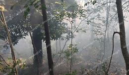Paura a Santopadre. In fiamme il sottobosco 