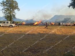 In fiamme oltre due dozzine di balloni di fieno 