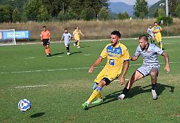 Un ottimo Frosinone cala il tris con il Volos