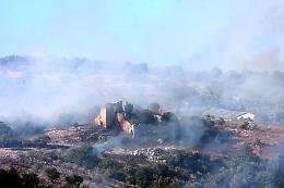 Emergenza incendi: servono le guardie forestali 