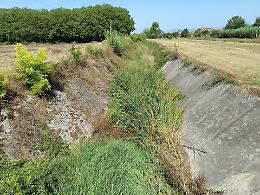 Canali intasati dalle erbacce. Niente acqua per l’irrigazione e i servizi antincendio