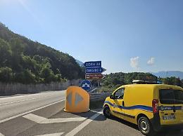 Orso bruno investito sulla superstrada Sora-Avezzano