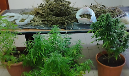 Coltivava marijuana sul balcone. Arrestato