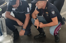 Controlli “Food & Oil”: sequestrati due serbatoi e dieci pistole erogatrici di gasolio