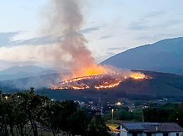 Pineta devastata dall’incendio. Belli: servono le telecamere